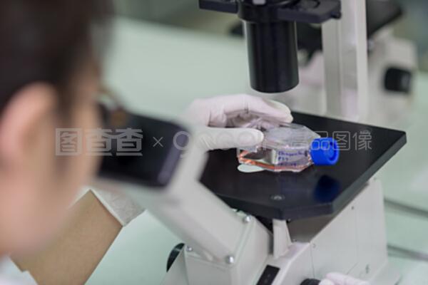 顯微鏡下的精微世界 技術人員如何通過試樣檢測保障質量